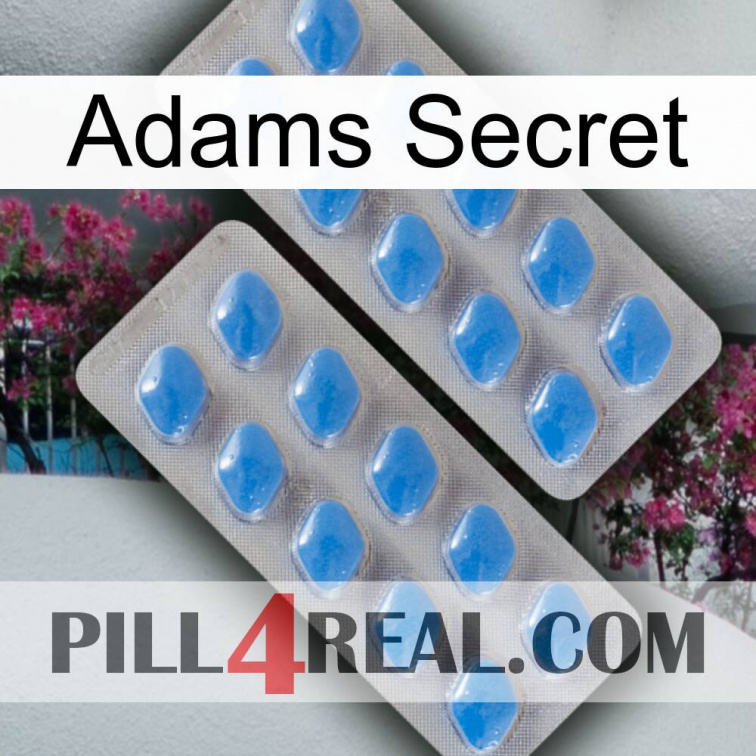 Adams Secret 23